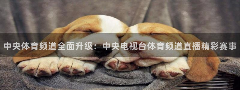 中央体育频道全面升级：中央电视台体育频道直播精彩赛事
