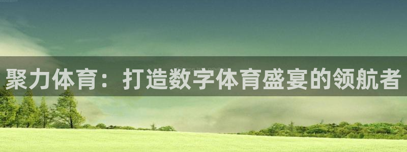 聚力体育：打造数字体育盛宴的领航者