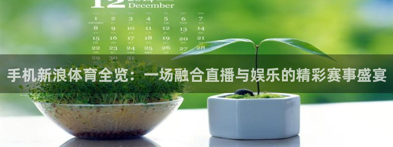 手机新浪体育全览：一场融合直播与娱乐的精彩赛事盛宴