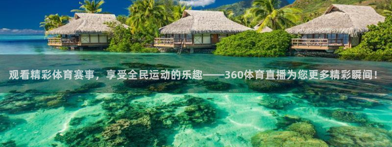 观看精彩体育赛事，享受全民运动的乐趣——360体育直播为您更多精彩瞬间！