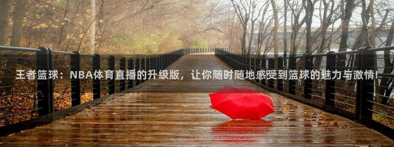 王者篮球：NBA体育直播的升级版，让你随时随地感受到篮球的魅力与激情!