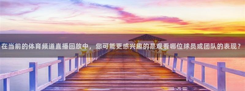 在当前的体育频道直播回放中，您可能更感兴趣的是观看哪位球员或团队的表现？