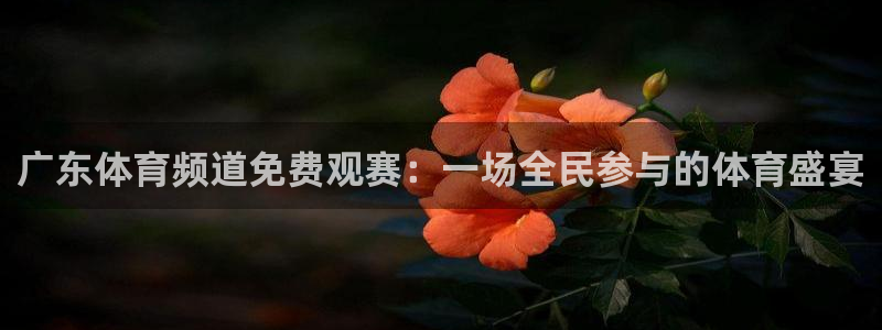 广东体育频道免费观赛：一场全民参与的体育盛宴