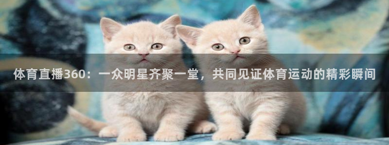 体育直播360：一众明星齐聚一堂，共同见证体育运动的精彩瞬间