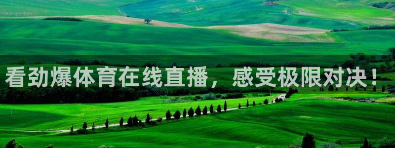 看劲爆体育在线直播，感受极限对决！