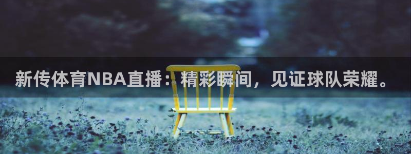 新传体育NBA直播：精彩瞬间，见证球队荣耀。