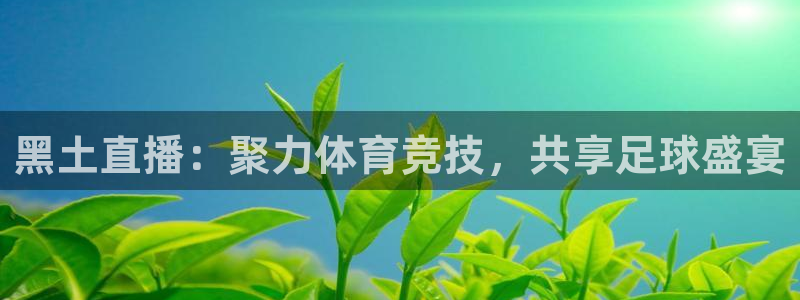 黑土直播：聚力体育竞技，共享足球盛宴