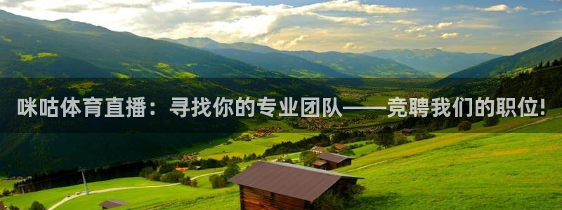 咪咕体育直播：寻找你的专业团队——竞聘我们的职位!