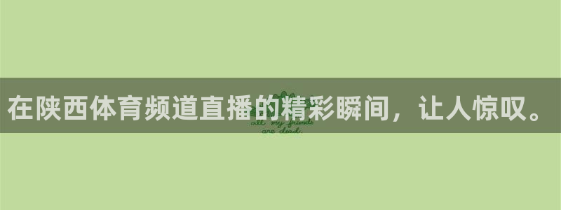 在陕西体育频道直播的精彩瞬间，让人惊叹。