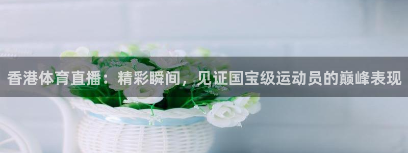 香港体育直播：精彩瞬间，见证国宝级运动员的巅峰表现