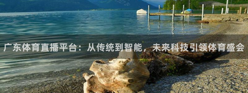 广东体育直播平台：从传统到智能，未来科技引领体育盛会