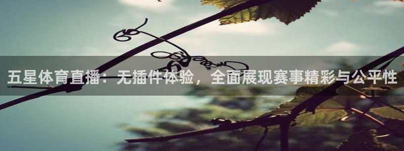 五星体育直播：无插件体验，全面展现赛事精彩与公平性
