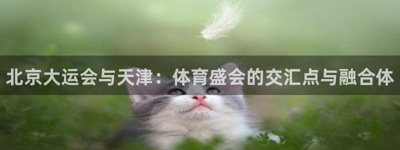 北京大运会与天津：体育盛会的交汇点与融合体