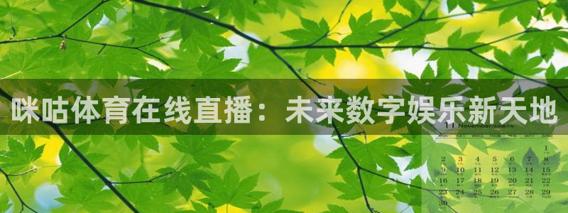 咪咕体育在线直播：未来数字娱乐新天地