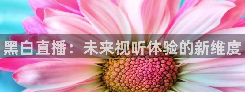 黑白直播：未来视听体验的新维度