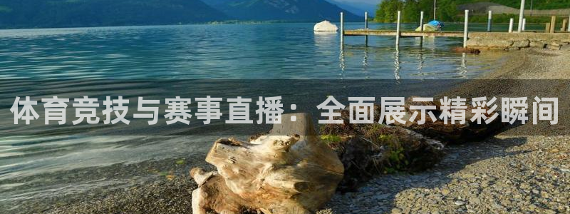 体育竞技与赛事直播：全面展示精彩瞬间