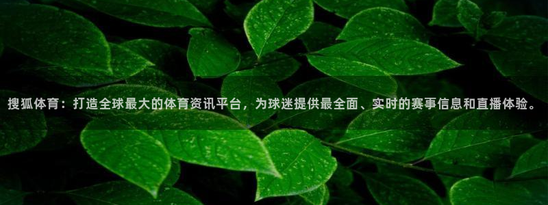 搜狐体育：打造全球最大的体育资讯平台，为球迷提供最全面、实时的赛事信息和直播体验。