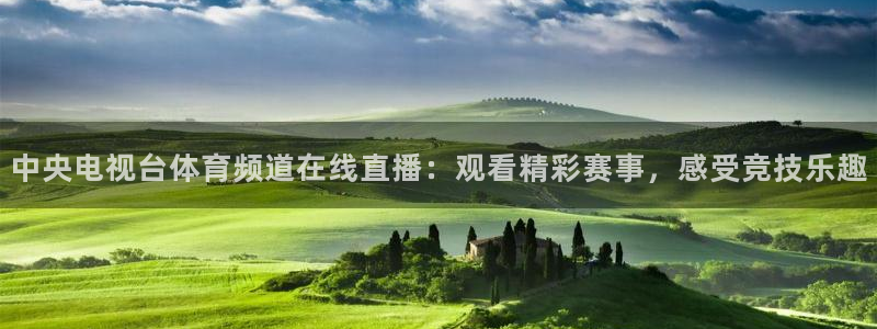 中央电视台体育频道在线直播：观看精彩赛事，感受竞技乐趣