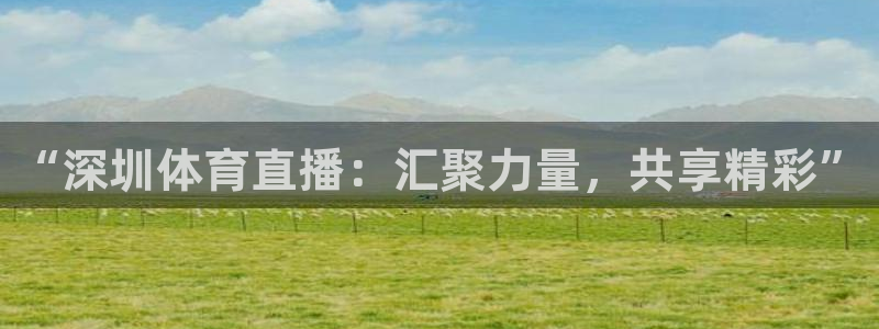 “深圳体育直播：汇聚力量，共享精彩”
