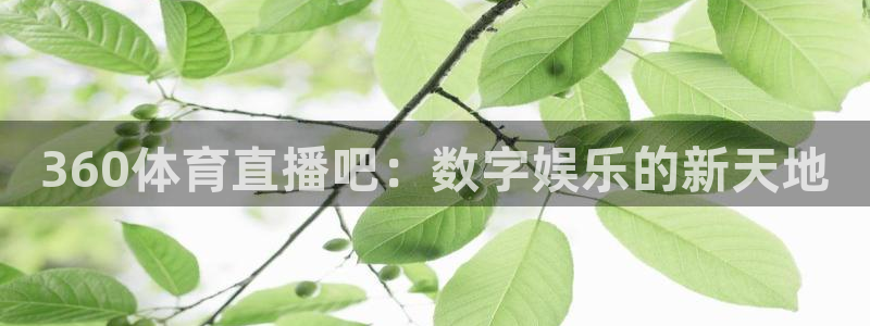 360体育直播吧：数字娱乐的新天地