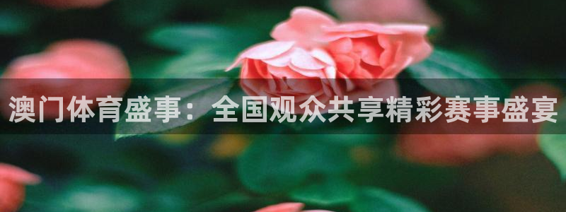 澳门体育盛事：全国观众共享精彩赛事盛宴