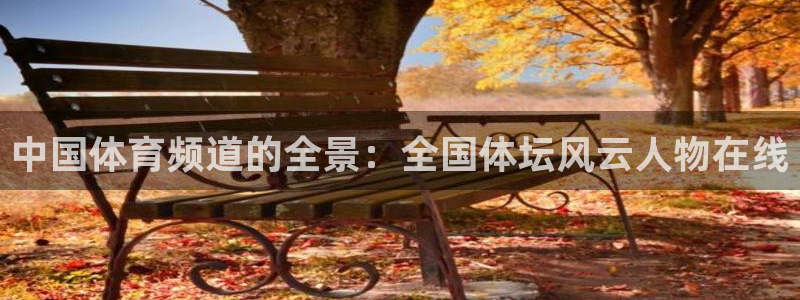 中国体育频道的全景：全国体坛风云人物在线
