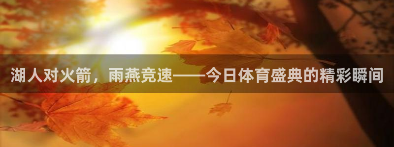 湖人对火箭，雨燕竞速——今日体育盛典的精彩瞬间