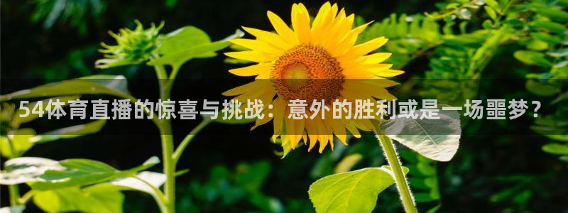 54体育直播的惊喜与挑战：意外的胜利或是一场噩梦？